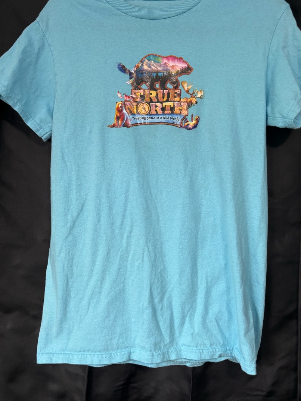 True North Graphic T-Shirt - Light Blue